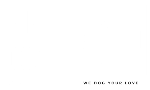 https://mrdogonpoint.com/wp-content/uploads/2026/04/Logo_menu_blanco.png