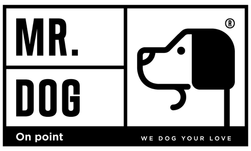 Mr. Dog On Point | Estética Canina y Spa para Perros en Interlomas
